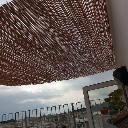 Nido Nella Storia *